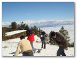 Playing in Snow