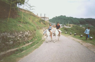 Pony Ride