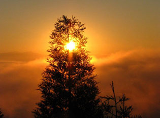 Sunrise Tour